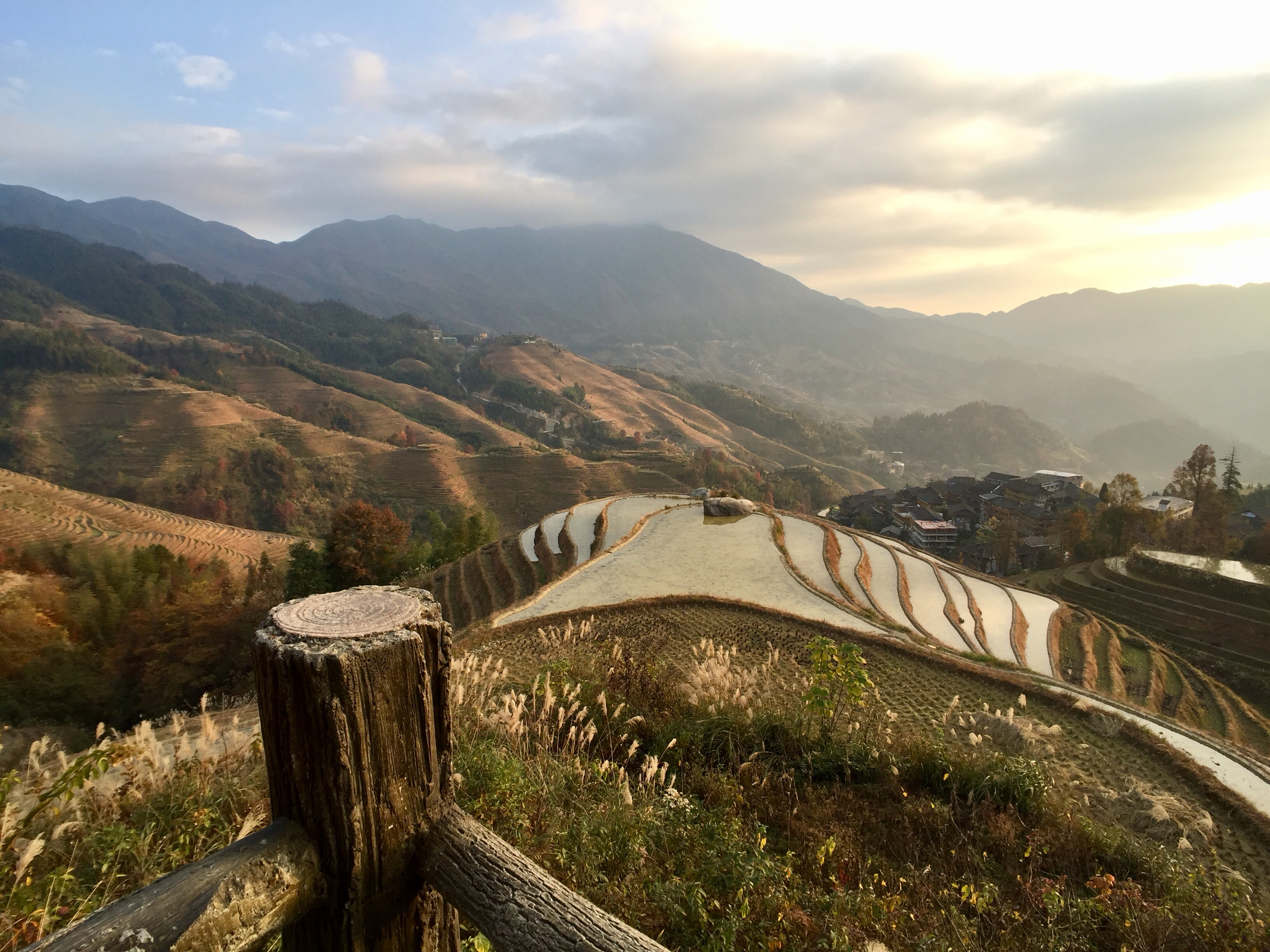 beautiful view of Longji rice terraces