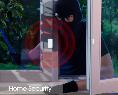 Securing Your Smart Home Devices